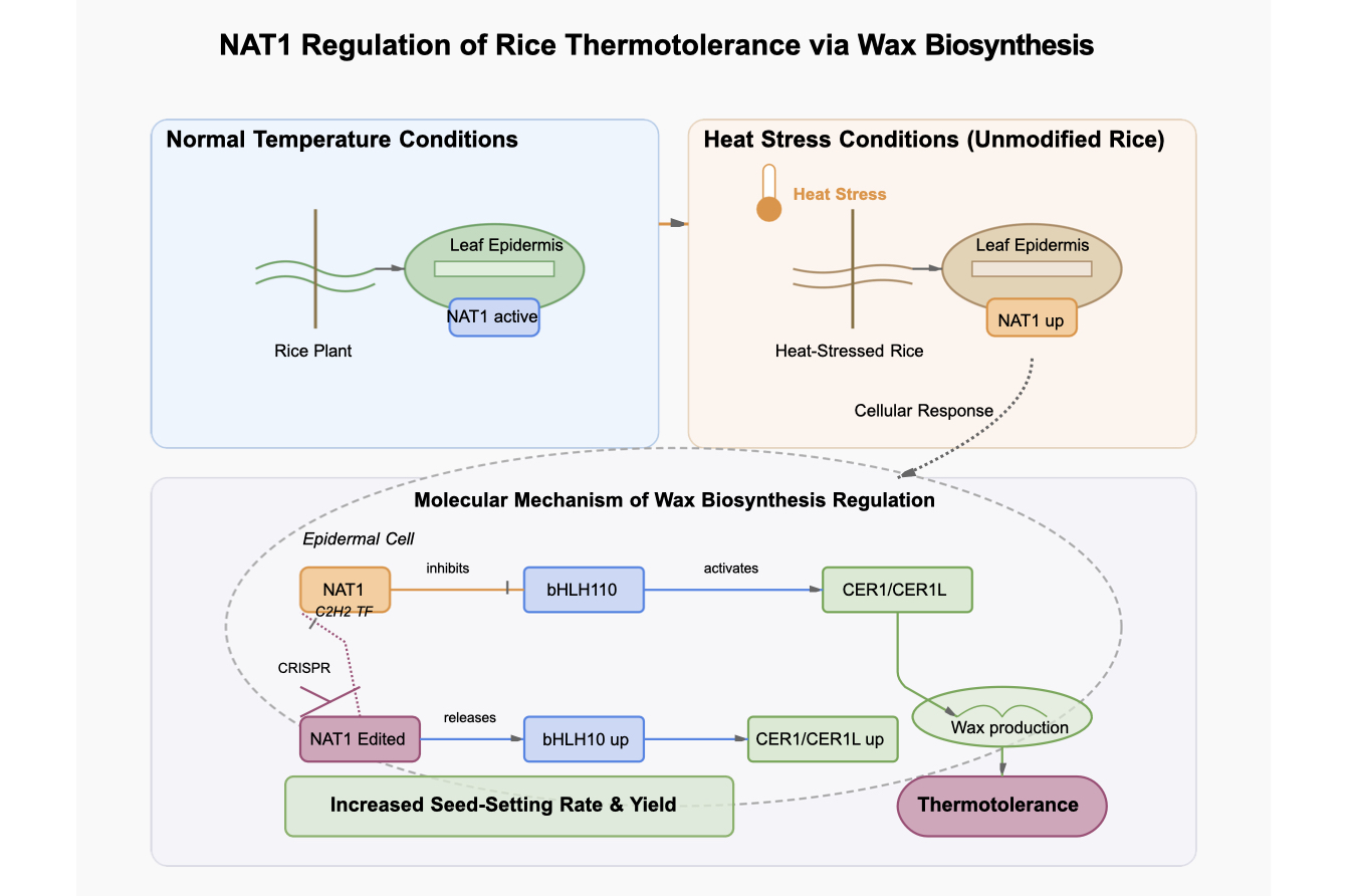 Grabstract - Science, visualized